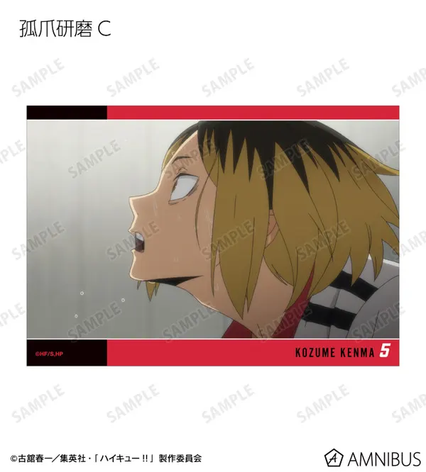 Haikyu!! Scene-Photo Merch Pre-Orders Close September 9